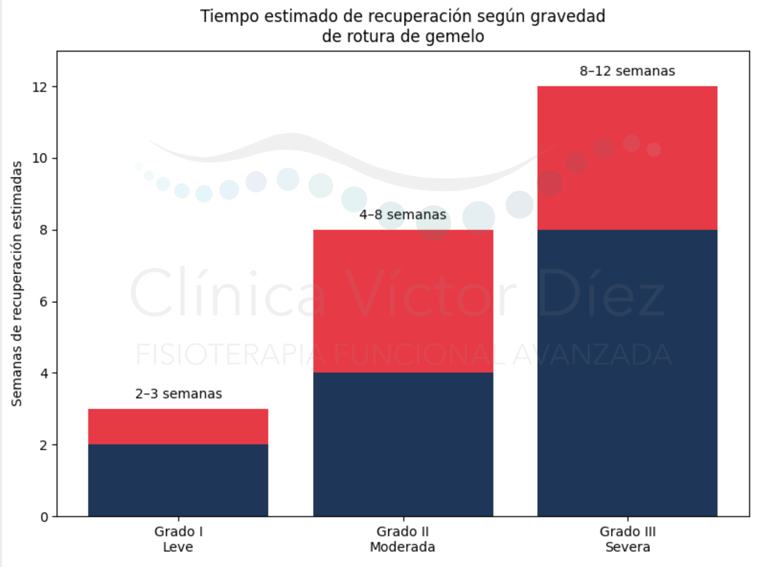 Tiempo de recuperación de la rotura fibrilar de gemelo según el grado de rotura
